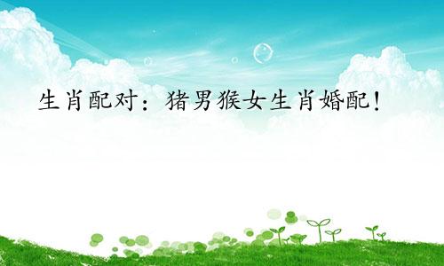 生肖配对：猪男猴女生肖婚配！