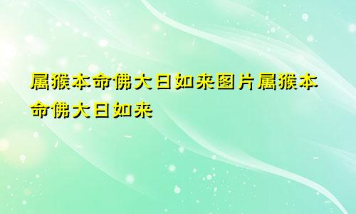 属猴本命佛大日如来图片属猴本命佛大日如来