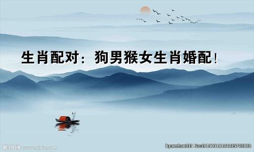 生肖配对：狗男猴女生肖婚配！