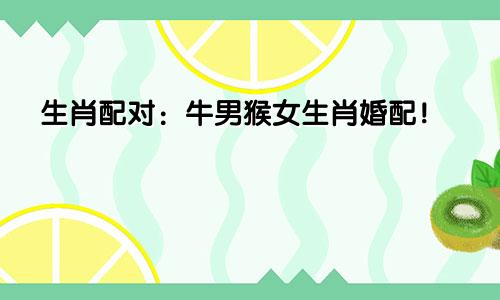 生肖配对：牛男猴女生肖婚配！