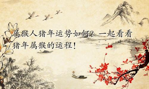 属猴人猪年运势如何？一起看看猪年属猴的运程！