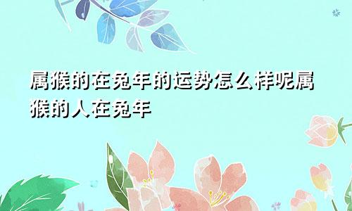 属猴的在兔年的运势怎么样呢属猴的人在兔年