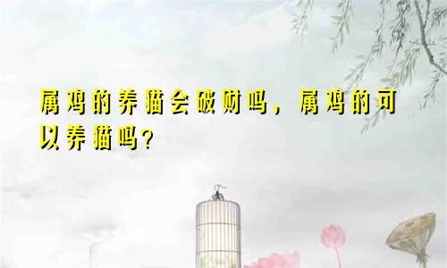 属鸡的养猫会破财吗，属鸡的可以养猫吗？