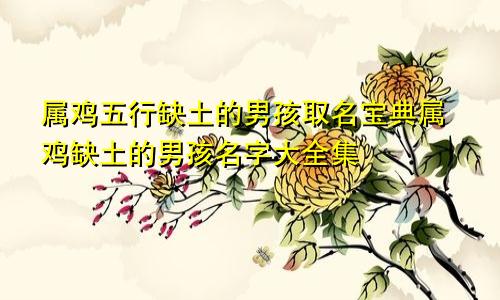 属鸡五行缺土的男孩取名宝典属鸡缺土的男孩名字大全集