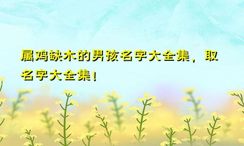 属鸡缺木的男孩名字大全集，取名字大全集！