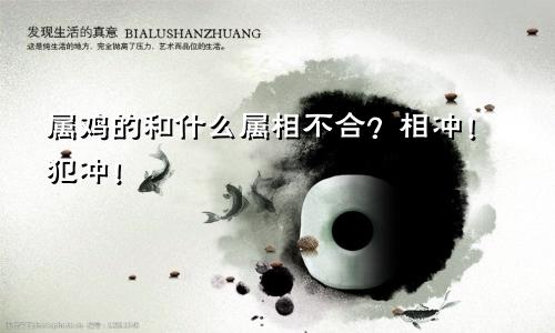属鸡的和什么属相不合？相冲！犯冲！