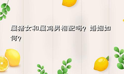 属猪女和属鸡男相配吗？婚姻如何？