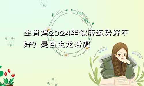 生肖鸡2024年健康运势好不好？是否生龙活虎