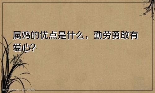 属鸡的优点是什么，勤劳勇敢有爱心？
