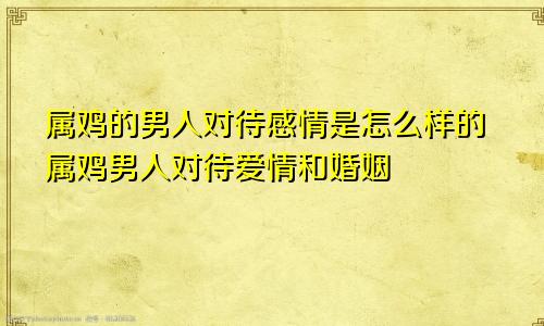 属鸡的男人对待感情是怎么样的属鸡男人对待爱情和婚姻