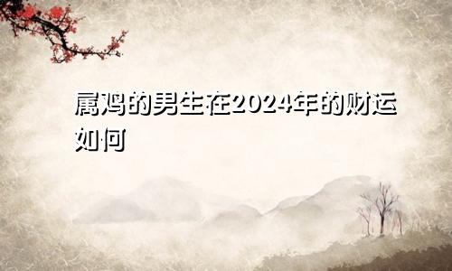 属鸡的男生在2024年的财运如何
