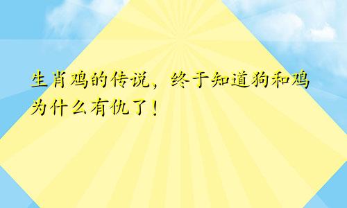 生肖鸡的传说，终于知道狗和鸡为什么有仇了！