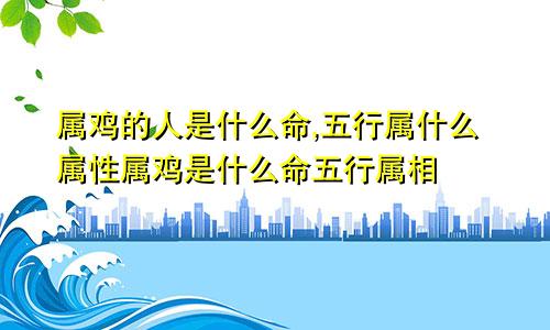 属鸡的人是什么命,五行属什么属性属鸡是什么命五行属相