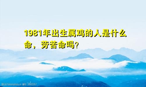 1981年出生属鸡的人是什么命，劳苦命吗？