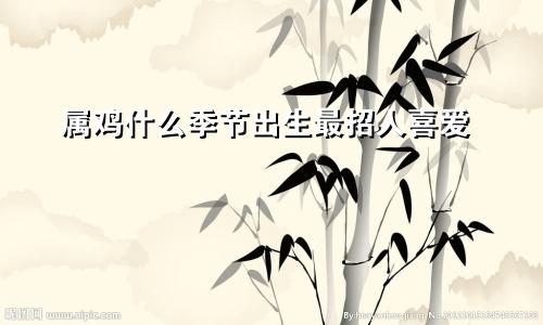 属鸡什么季节出生最招人喜爱