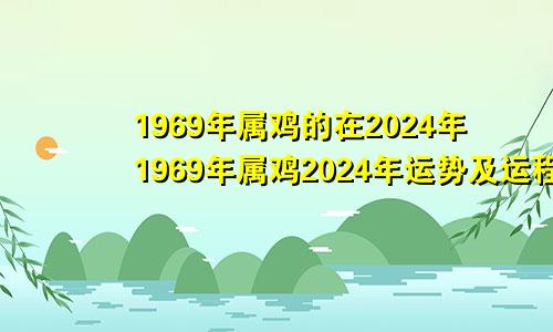 1969年属鸡的在2024年1969年属鸡2024年运势及运程