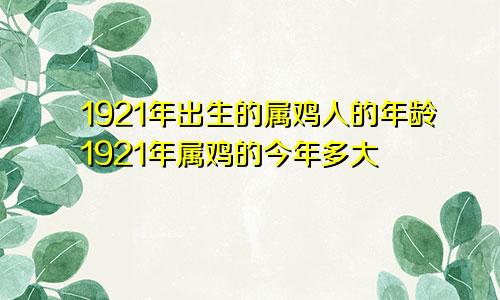 1921年出生的属鸡人的年龄1921年属鸡的今年多大