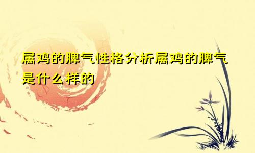 属鸡的脾气性格分析属鸡的脾气是什么样的