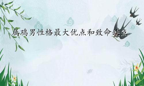 属鸡男性格最大优点和致命缺点