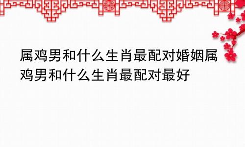 属鸡男和什么生肖最配对婚姻属鸡男和什么生肖最配对最好