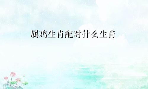 属鸡生肖配对什么生肖