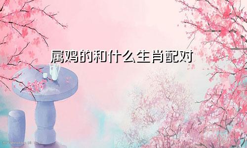 属鸡的和什么生肖配对