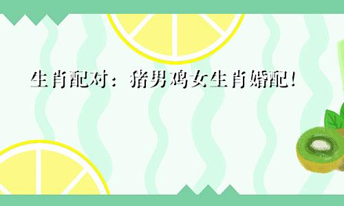 生肖配对：猪男鸡女生肖婚配！