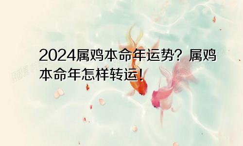 2024属鸡本命年运势？属鸡本命年怎样转运！