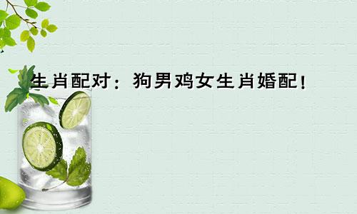 生肖配对：狗男鸡女生肖婚配！