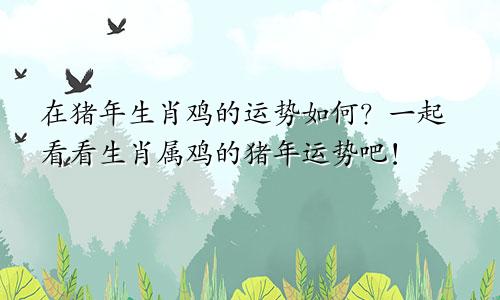 在猪年生肖鸡的运势如何？一起看看生肖属鸡的猪年运势吧！