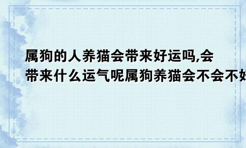 属狗的人养猫会带来好运吗,会带来什么运气呢属狗养猫会不会不好