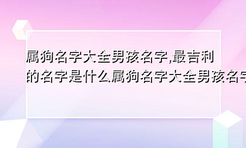 属狗名字大全男孩名字,最吉利的名字是什么属狗名字大全男孩名字,最吉利的名字