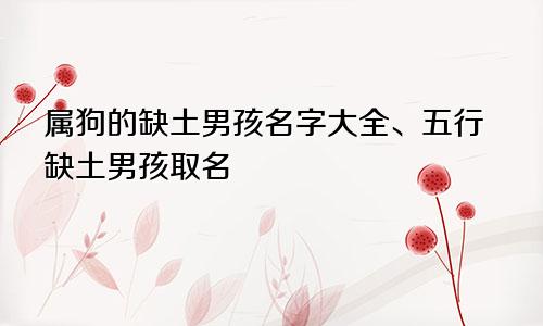 属狗的缺土男孩名字大全、五行缺土男孩取名