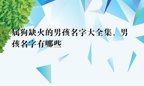 属狗缺火的男孩名字大全集、男孩名字有哪些