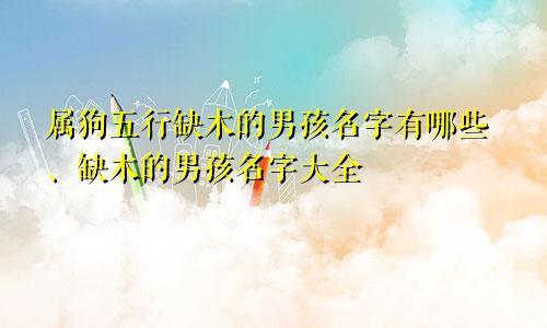 属狗五行缺木的男孩名字有哪些、缺木的男孩名字大全