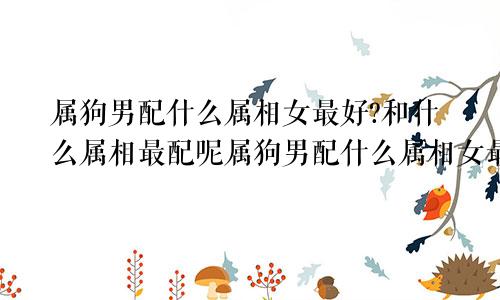 属狗男配什么属相女最好?和什么属相最配呢属狗男配什么属相女最好?和什么属相最配婚姻