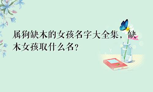 属狗缺木的女孩名字大全集，缺木女孩取什么名？