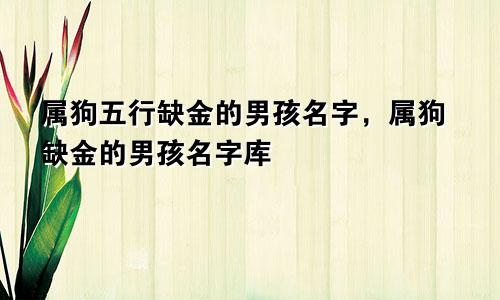 属狗五行缺金的男孩名字，属狗缺金的男孩名字库