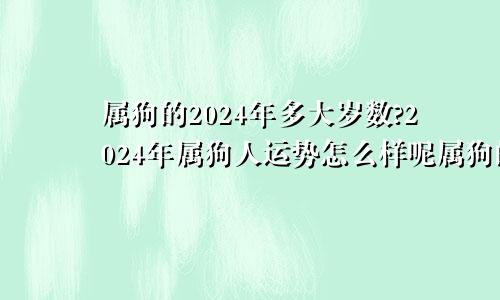 属狗的2024年多大岁数?2024年属狗人运势怎么样呢属狗的2024年多大年龄