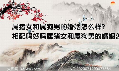 属猪女和属狗男的婚姻怎么样?相配吗好吗属猪女和属狗男的婚姻怎么样?相配吗