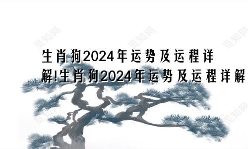 生肖狗2024年运势及运程详解!生肖狗2024年运势及运程详解图