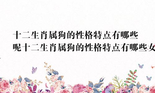 十二生肖属狗的性格特点有哪些呢十二生肖属狗的性格特点有哪些女生