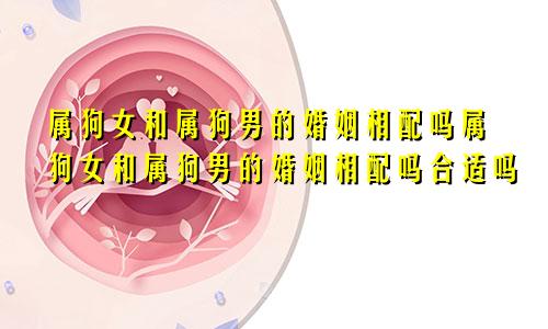 属狗女和属狗男的婚姻相配吗属狗女和属狗男的婚姻相配吗合适吗