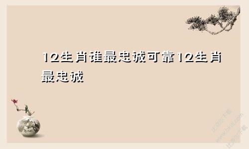 12生肖谁最忠诚可靠12生肖最忠诚