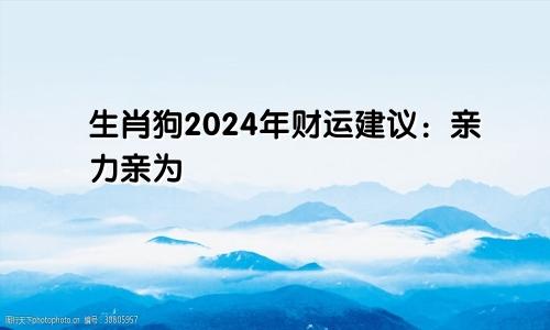 生肖狗2024年财运建议：亲力亲为