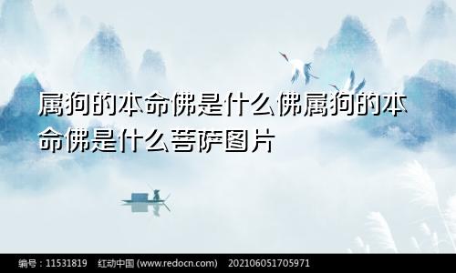 属狗的本命佛是什么佛属狗的本命佛是什么菩萨图片