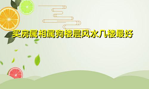 买房属相属狗楼层风水几楼最好