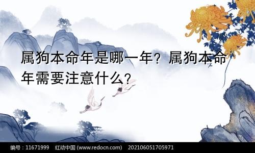 属狗本命年是哪一年？属狗本命年需要注意什么？