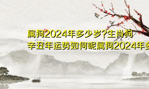 属狗2024年多少岁?生肖狗辛丑年运势如何呢属狗2024年多少岁?生肖狗辛丑年运势如何样