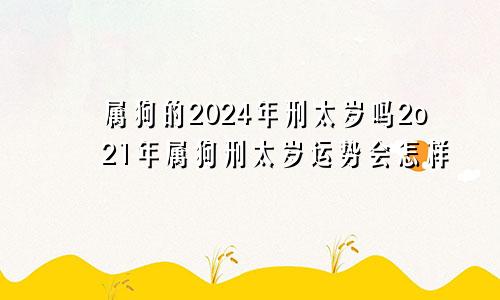 属狗的2024年刑太岁吗2o21年属狗刑太岁运势会怎样